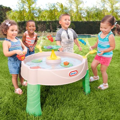 Frog Pond Water Table